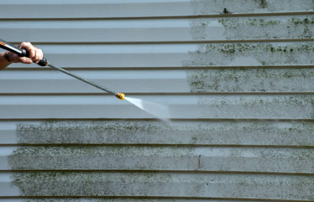 Best Fence Cleaning and Maintenance in Summersville, WV